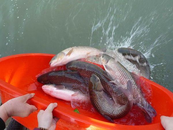 喝完酒第二天不记事了咋回事_360问答