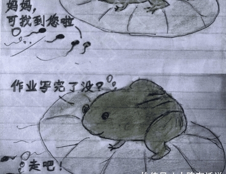 小学生倒数第一小学走红,老师:你的年级已经智商六英语试卷课课练图片