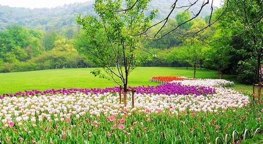 杭州有什么好玩的地方和不能错过的景点?_36