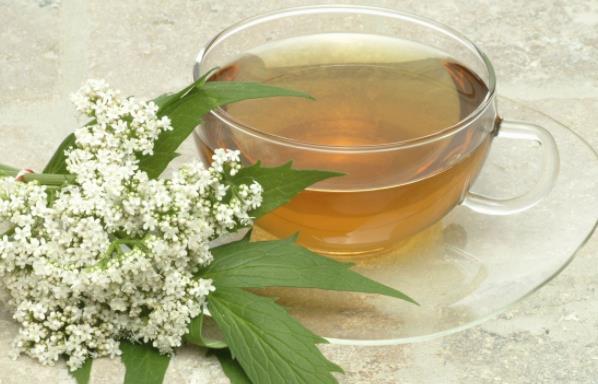 广东人喜欢喝凉茶,湖南人喜欢喝茶,那么你是哪