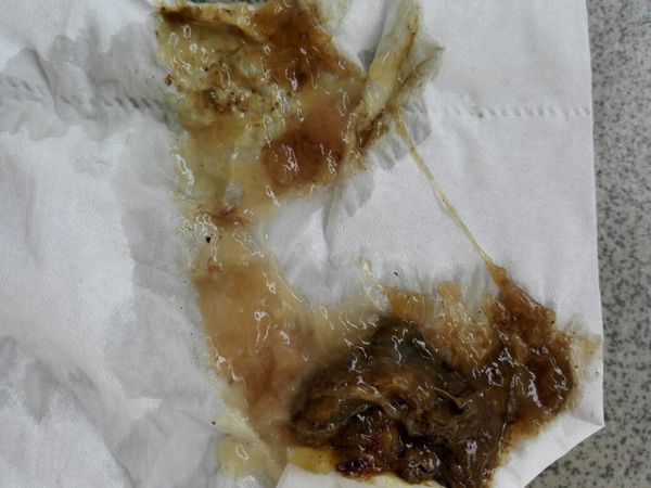 急求宠物医生的QQ。_360问答