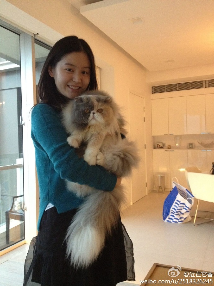 《小鱼儿与花无缺》的小仙女柏雪今年没有发过