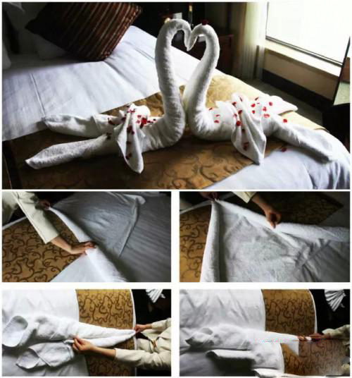 如何用毛巾叠各种小动物的方法_360问答