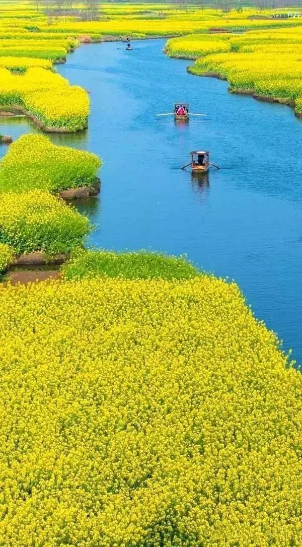 清明小长假,我想去这9个绝美的地方踏青!