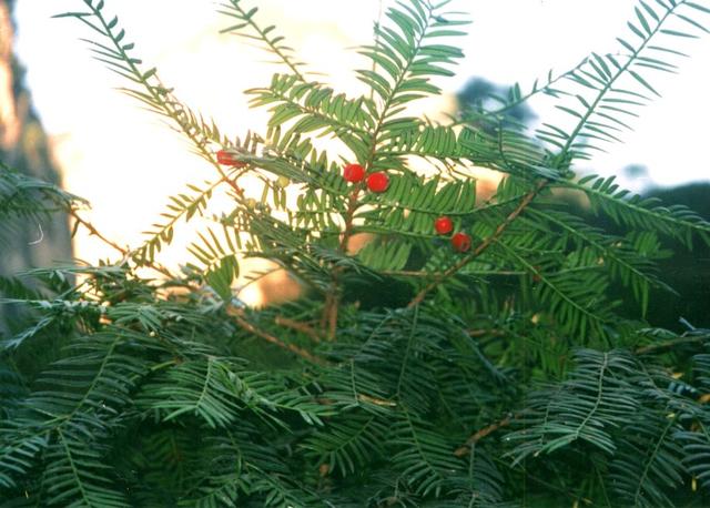 太行山大峡谷:风平浪静涛阵阵,夜阑人静泉叮咚