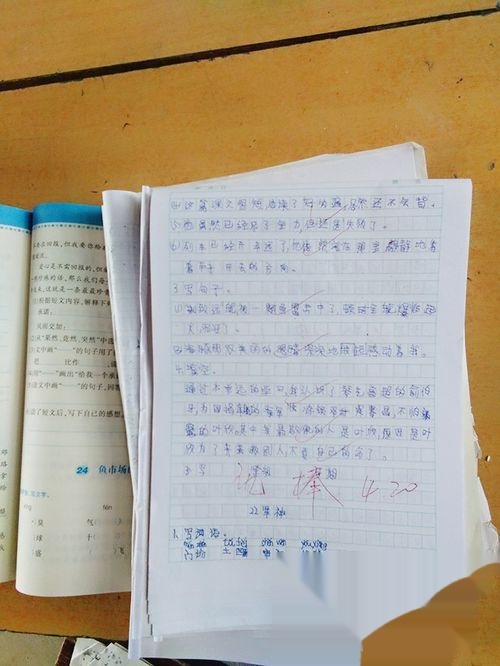 t0129ea12e88fd0694e.jpg