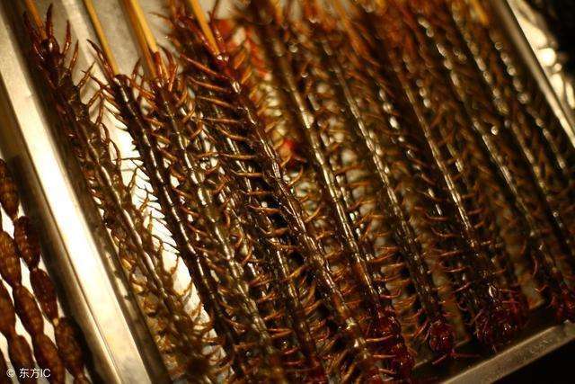 2018年养殖骗局 两年赔了200多万 甚至倾家荡