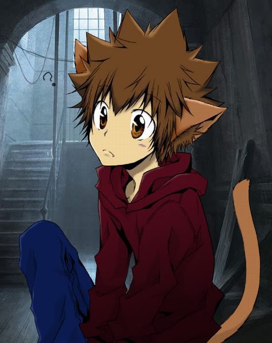 求一张沢田纲吉的图!猫耳猫尾,是盘腿的!求求求