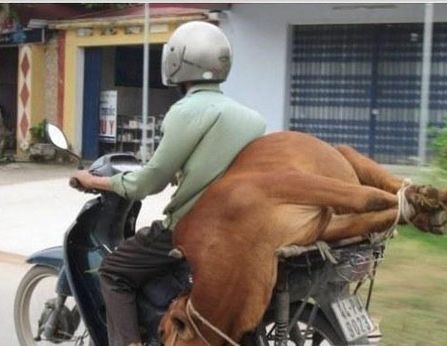 搞笑段子:应聘去一家银行干保安,去的第一天就