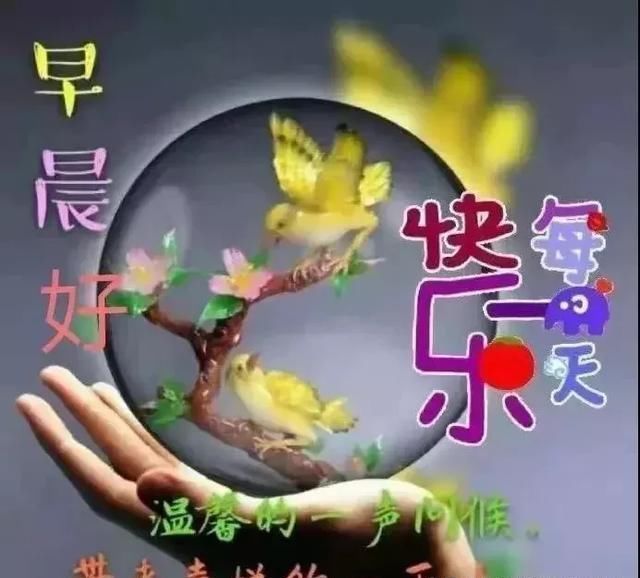 5月4日周六清晨早上好祝福问候动态表情图片搞笑图片泰迪的图片