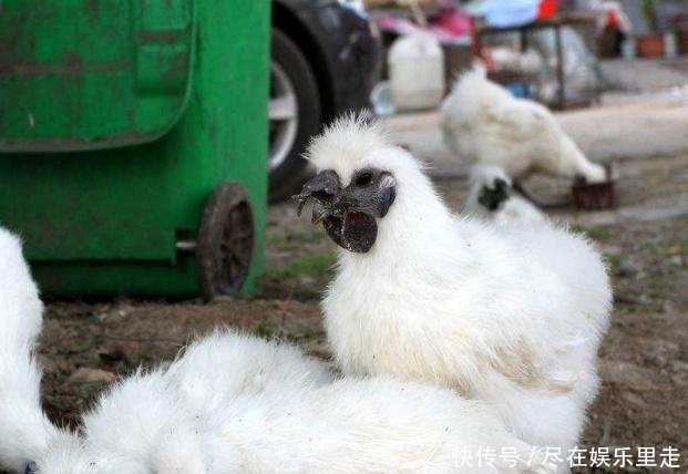 t012d2aa111821efcd3.jpg