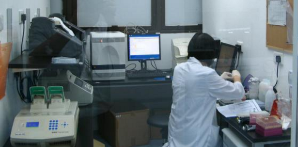 男子出车祸昏迷多年,妻子却突然怀孕,做完亲子