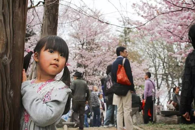 日本有哪些小众赏樱地 我们都帮你看好了!