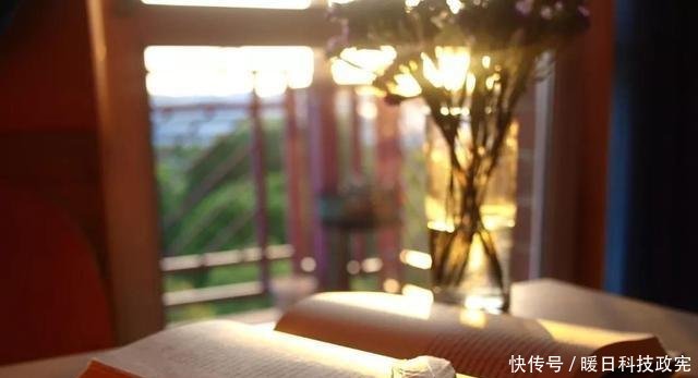 如何高效地阅读一本书美国的一位作家给出了部