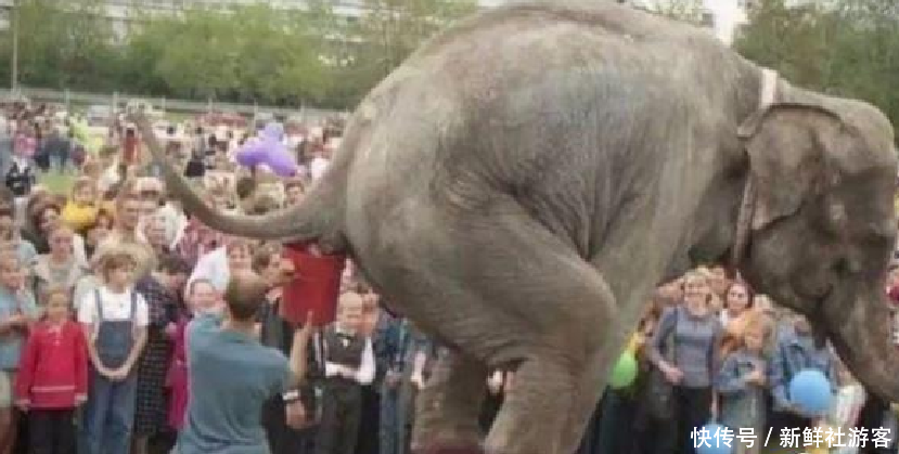 太奇葩!这些工作年薪百万都招不到员工,女生看