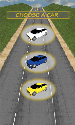 Speed Up Car Driving 3D截图1