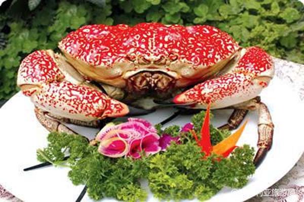 澳洲旅游费用多少钱