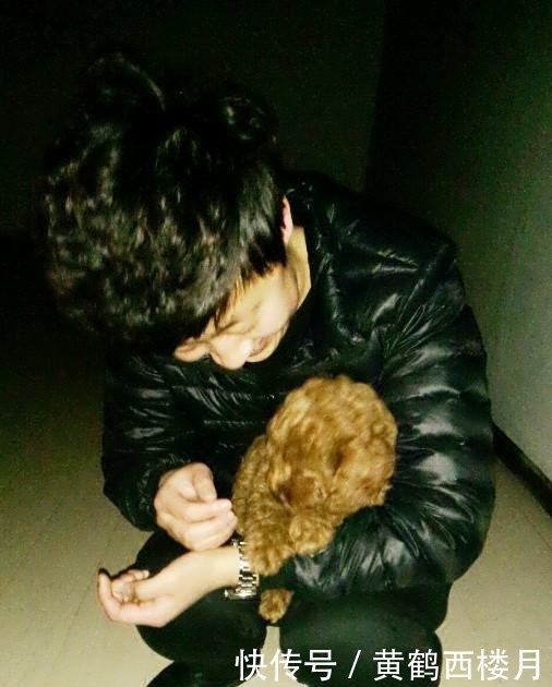 我有一只棕色狗狗,它叫小芒果,萌翻了!