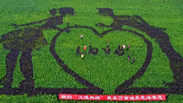 四川三月最值得去的一些花花胜地!你走过几个?