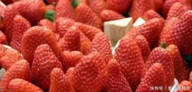熟透啦!2019重庆最全草莓采摘地图,速速收藏!