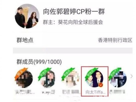 向太辟谣网传向佐郭碧婷求婚戒指,自备最完美