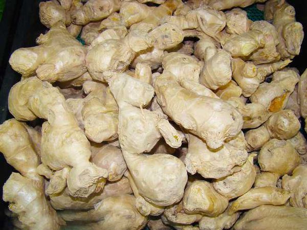 生姜要怎么种植,怎么做才会好,_360问答