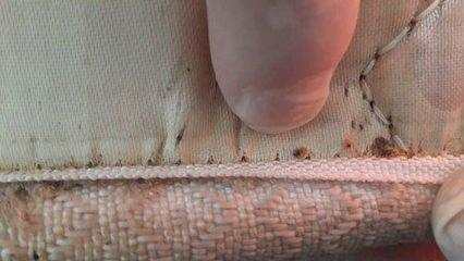 宝宝半夜抓挠前胸后背,床上来回滚动,宝妈拆开