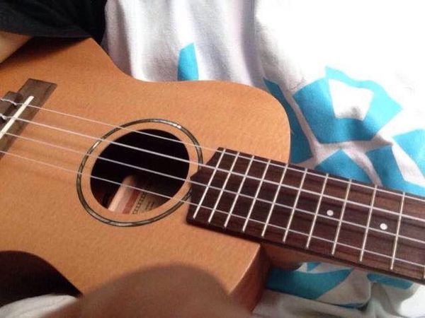 请问这是什么尤克里里?有木有人能看出来?_3