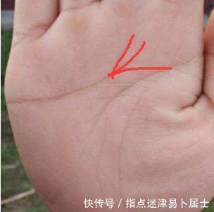 array ( [1] => array ( [ 财经 八卦生活 正文  ⑥手相中出现凤尾纹