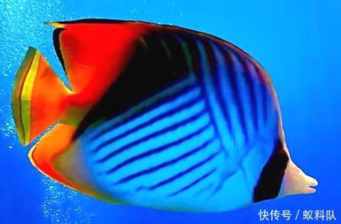t01398f9b3a473edba5.jpg
