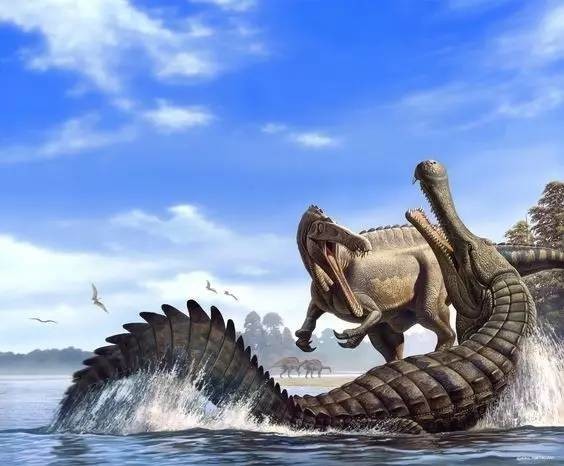 泰坦巨蟒vs亚马逊巨蟒谁是最厉害的 t013b1f6c8eac352a7c.jpg?size=564x466