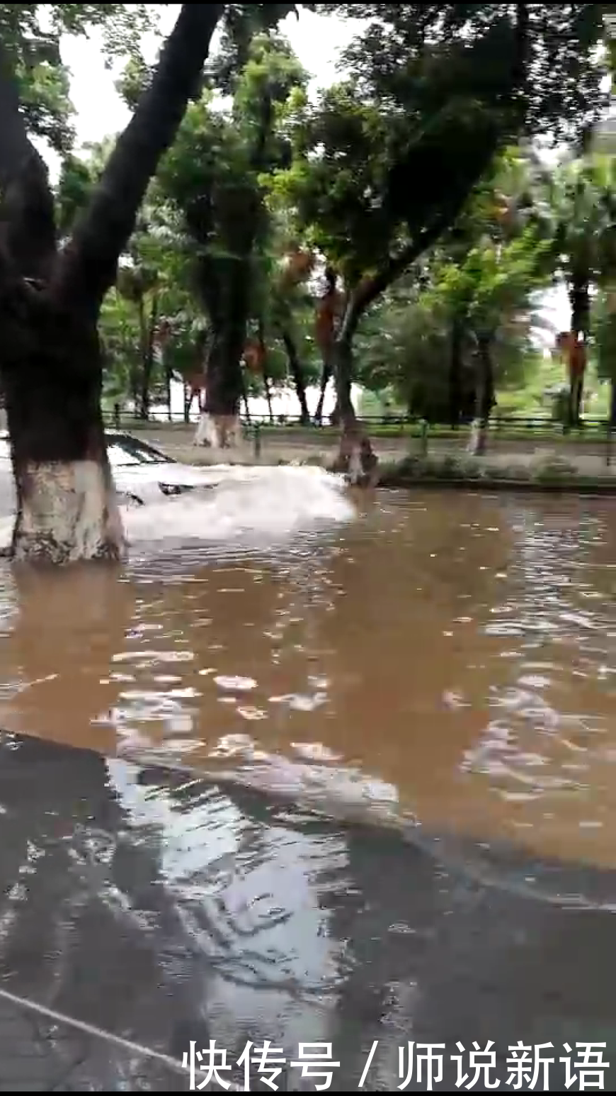 明明狂风暴雨学校为何屡屡不停课？问题出在这里！