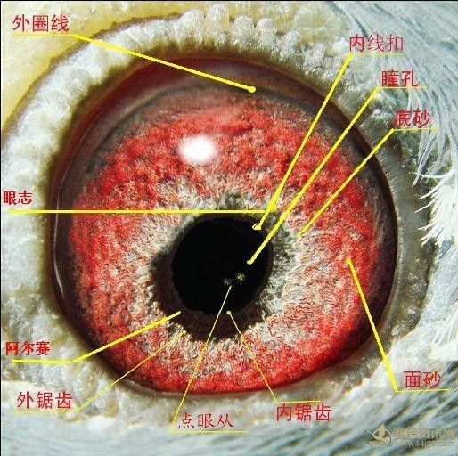 是不是每次360 体检杀毒以后都要重新启动下?