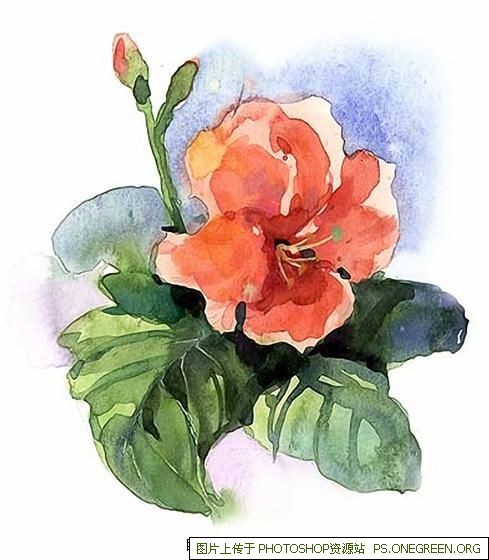 画水粉的时候是不是不能有太多的水?自学求教