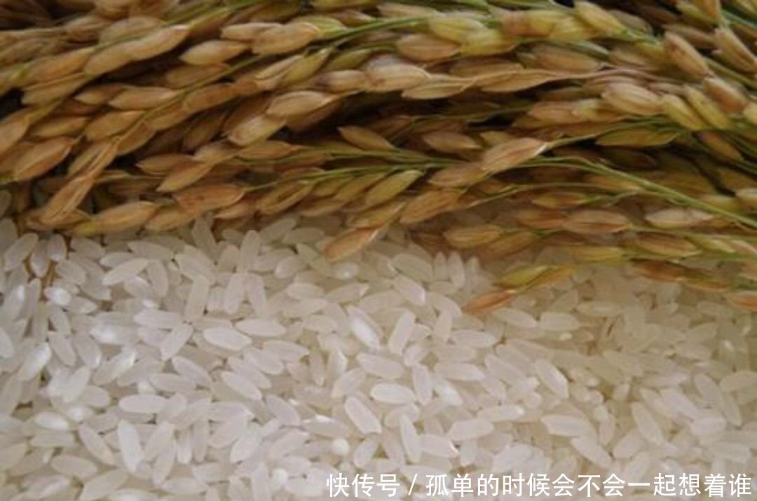 五常大米怎么做好吃 t013d298128295e5109.jpg