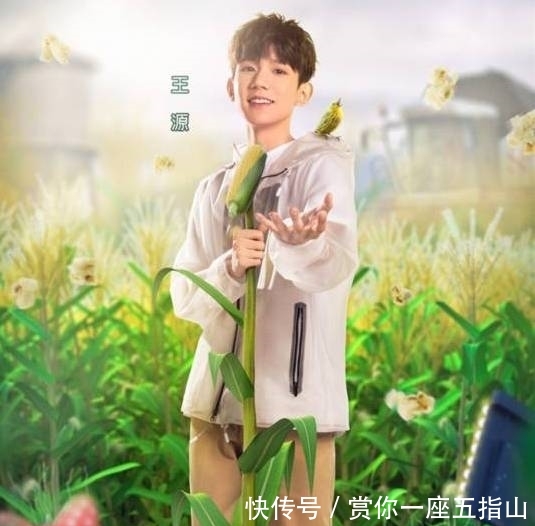 《哈哈农夫》节目组种假甘蔗被拆穿,金瀚贾乃