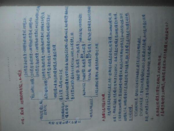 高一生物必修一 复习提纲_360问答