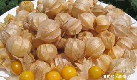 农村有天然的野生美味,漫山遍野的奇珍异宝,想想都值得回味