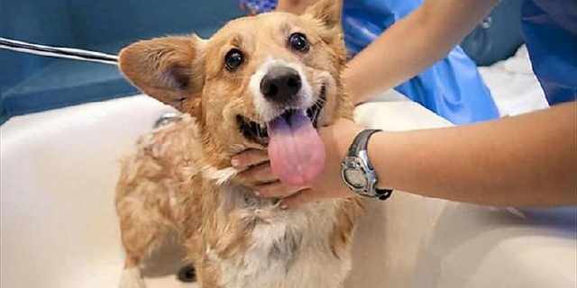 这4招直捣螨虫窝,祛痘变得很简单,皮肤越变越