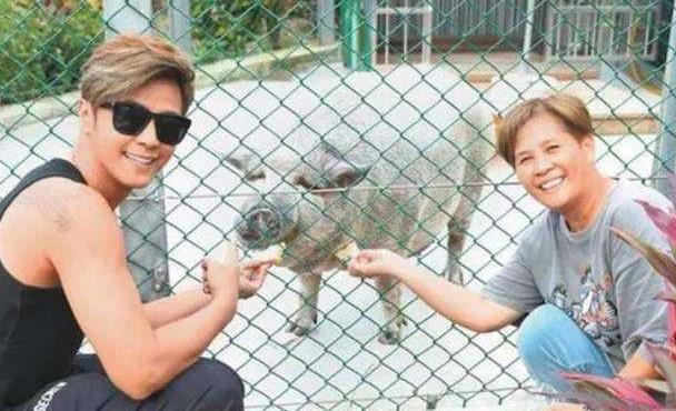 明星养宠物朱一龙养蚂蚁,罗志祥养野猪,杨颖养