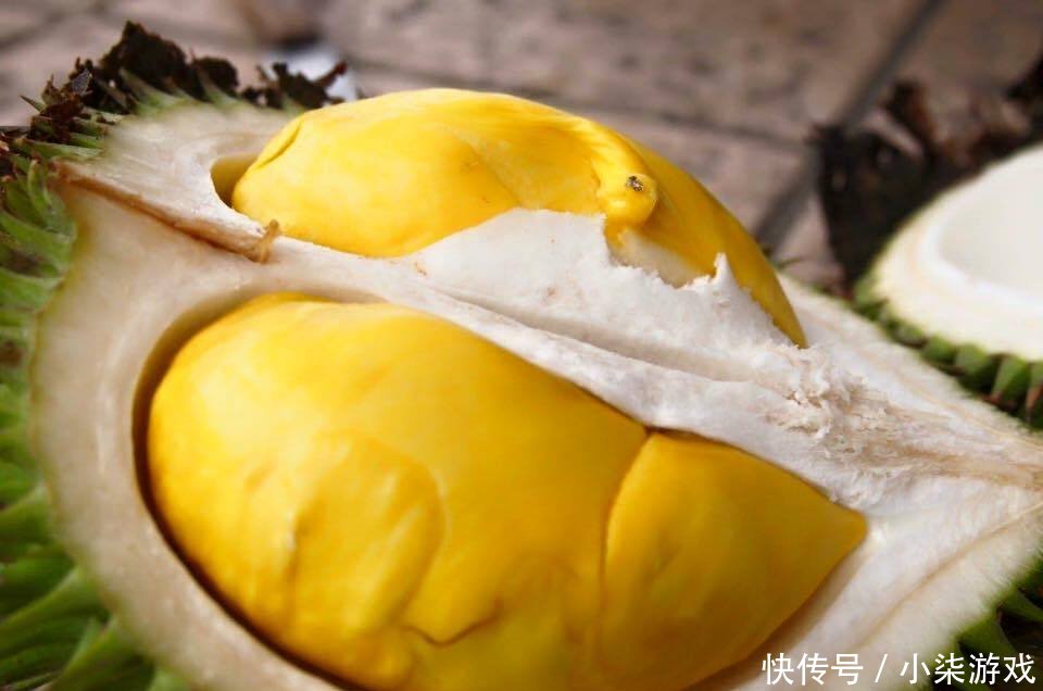 为啥一棵榴莲树结上百个榴莲,却还卖那么贵呢