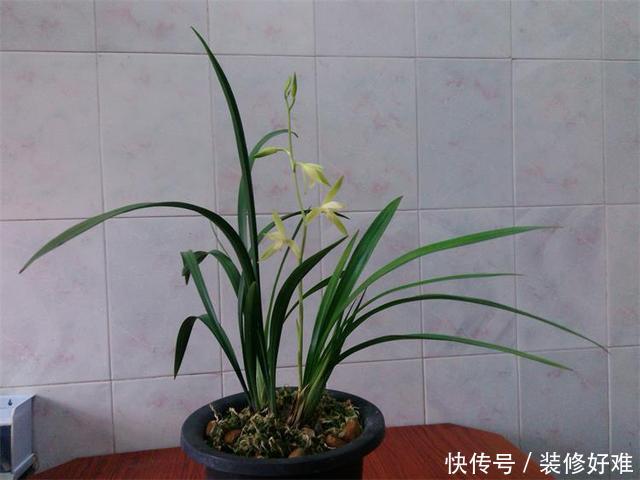 t0141e6f6bc6ded10ba.jpg
