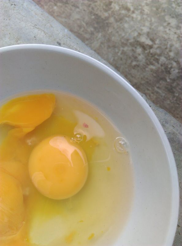 磕出来的鸡蛋蛋清里面有粉红色软体虫在动,这