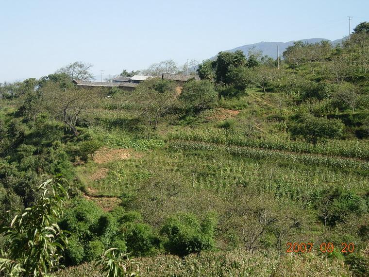 下白马塘村