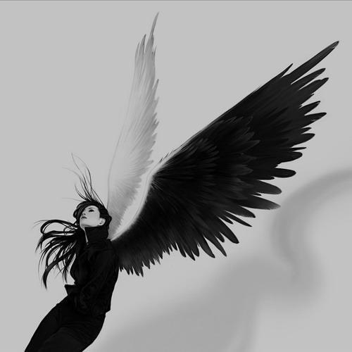 求一对黑白张开翅膀天使情侣头像,不要动漫的