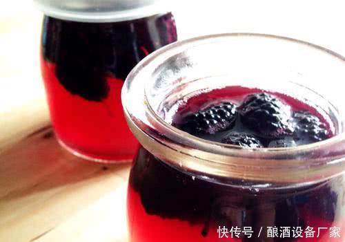 家庭自酿水果酒_桑椹酒如何泡好喝?