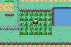 口袋妖怪叶绿386向尾喵怎么抓_360问答