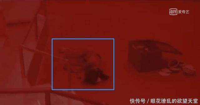 吴宣仪痛哭昏迷,王宝强难过倒地,谁注意到朱正的和全套表情包发对象图片
