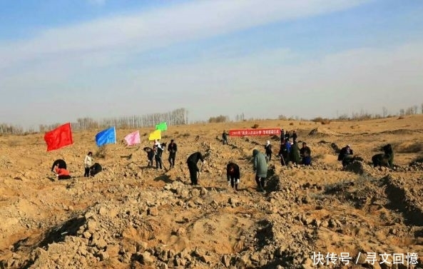 适合残疾人的工作