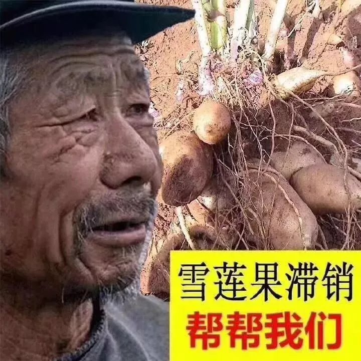 那位找滞销大爷帮忙的大神,单身狗和嫩肤仪滞